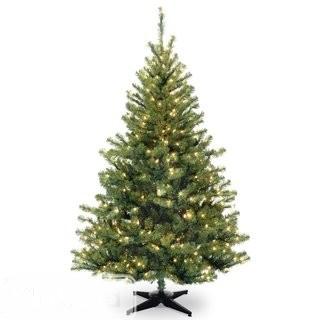 Ebern Designs 6' Spruce Artificial Christmas Tree with 400 Clear Lights (EBND8360)