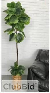 Brayden Studio Fiddle Leaf Fig Tree in Pot (BRSD4610)